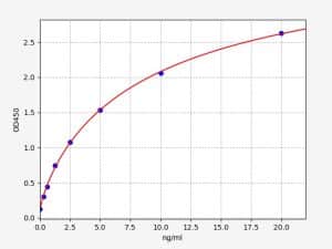 Beta Actin Standard Curve